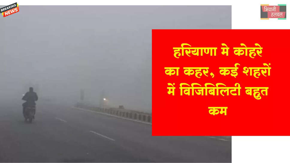 हरियाणा में कोहरे का कहर, कई इलाकों में विजिबिलिटी जीरो