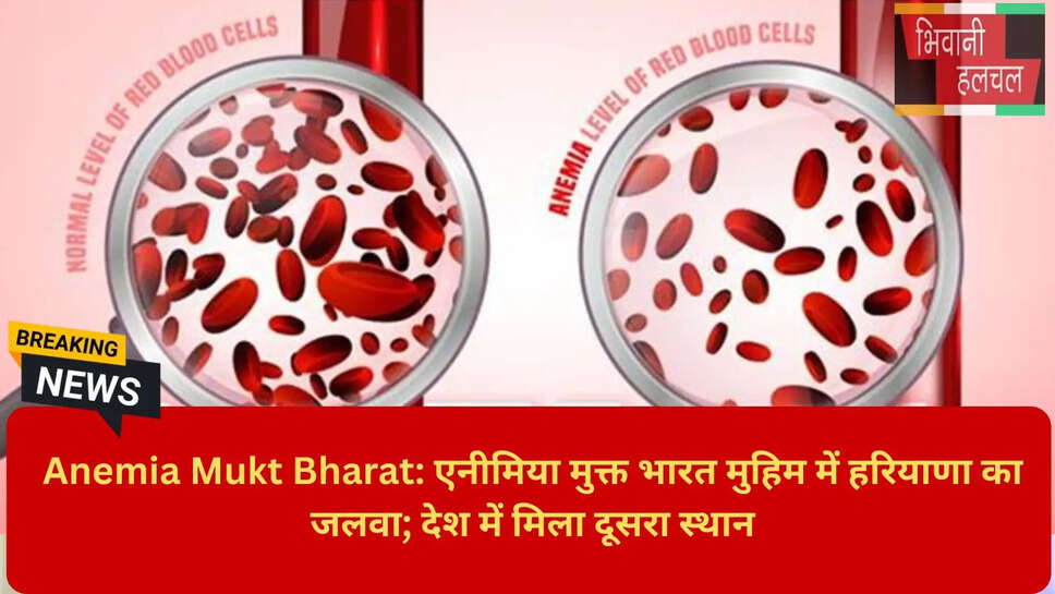 Iron and Folic Acid Coverage Haryana Statistics
