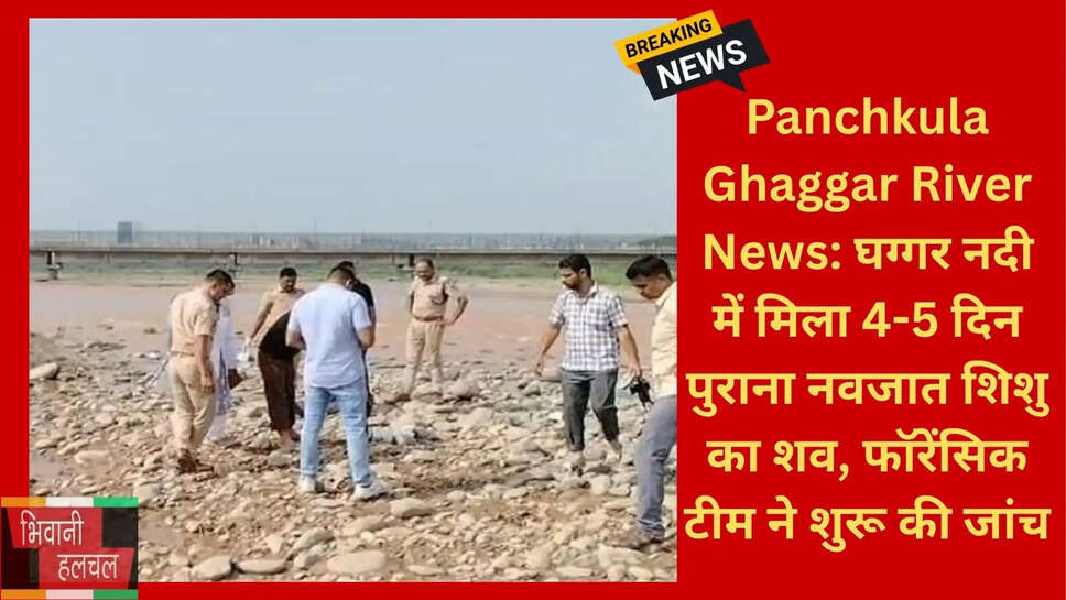 पंचकूला क्राइम न्यूज