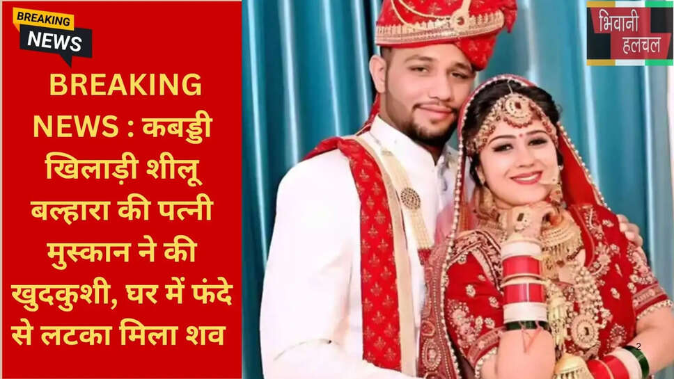 हरियाणा चीता शीलू