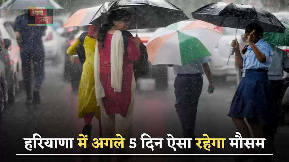 हरियाणा में अगले 5 दिन ऐसा रहेगा मौसम, देखें ताजा अपडेट&nbsp;