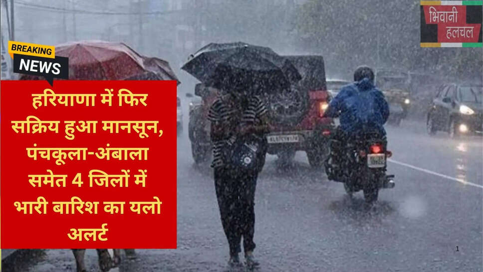 हरियाणा कृषि फसल बारिश