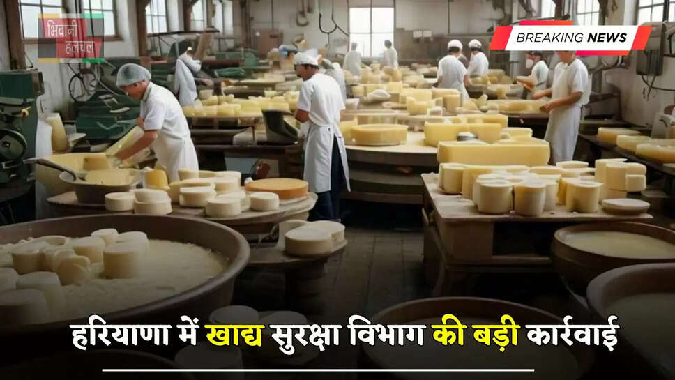 हरियाणा में खाद्य सुरक्षा विभाग की बड़ी कार्रवाई, पनीर बनाने वाली फैक्ट्री में मारी रेड &nbsp;