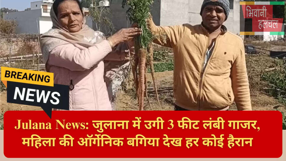 Organic Vegetables Haryana