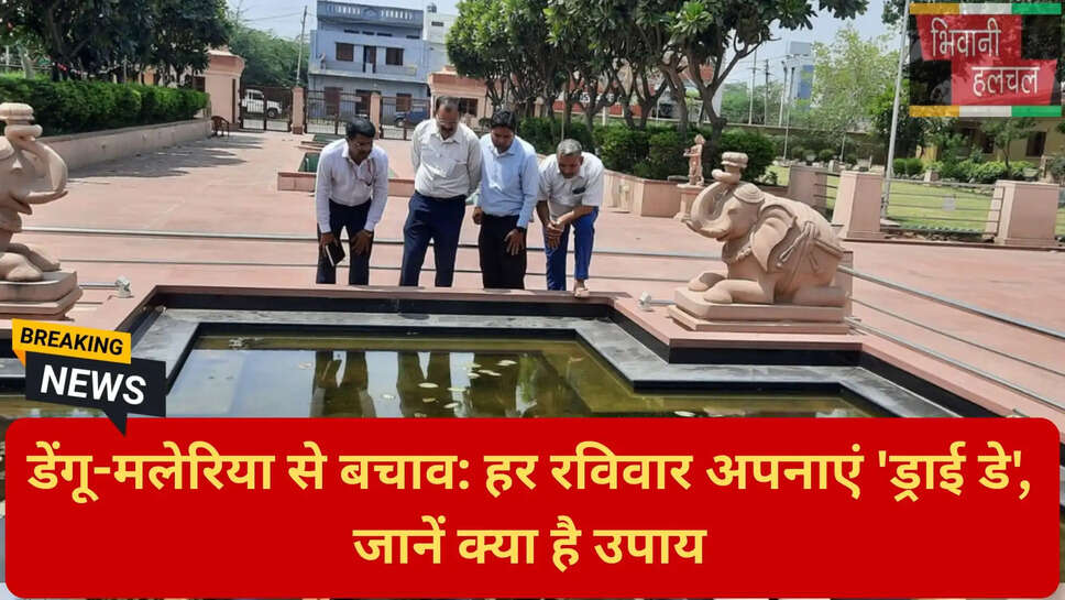 एंटी लार्वा गतिविधियाँ