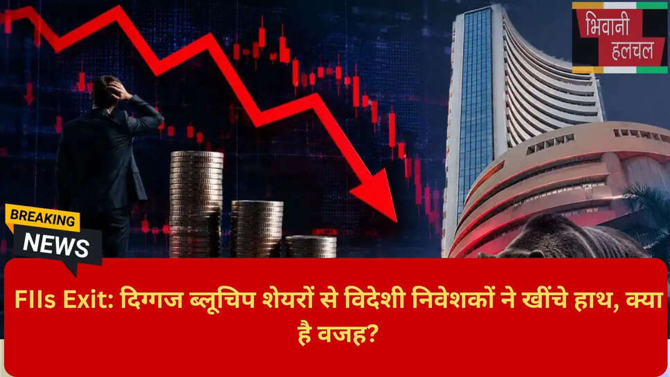 IT sector FII investment drop