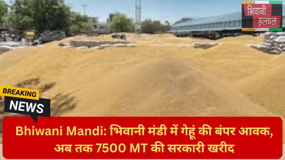 हरियाणा किसान न्यूज़