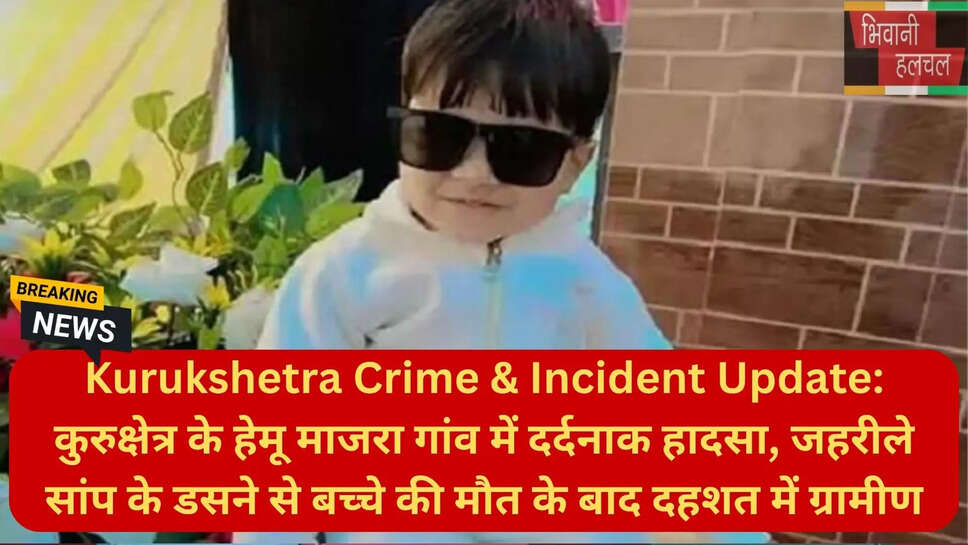 हरियाणा स्नेक बाइट न्यूज