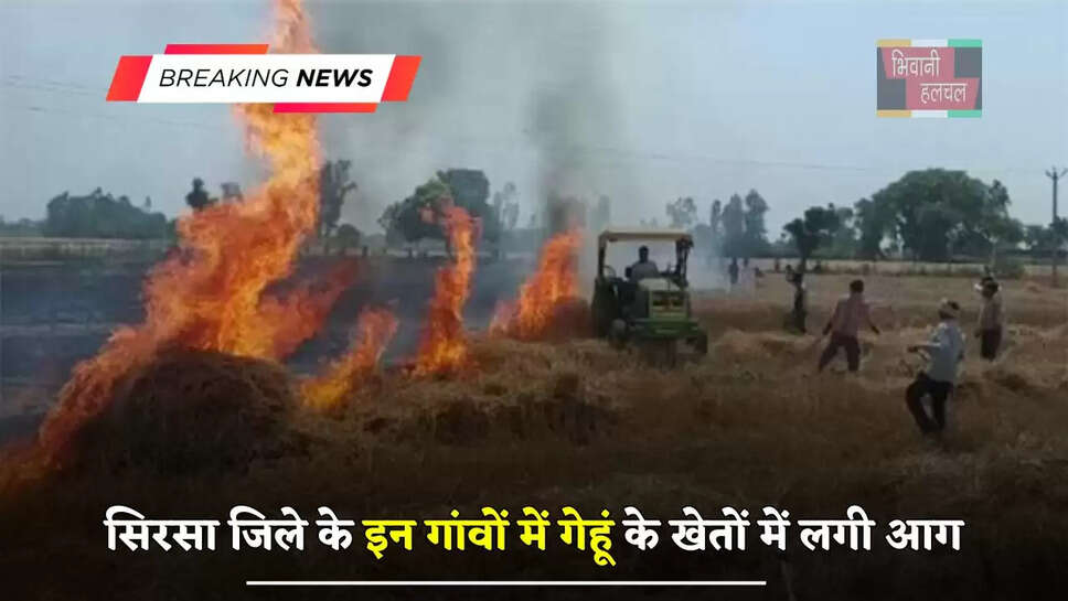 सिरसा जिले के इन गांवों में गेहूं के खेतों में लगी आग, 125 एकड़ भूसे के साथ ट्रैक्टर जला&nbsp;