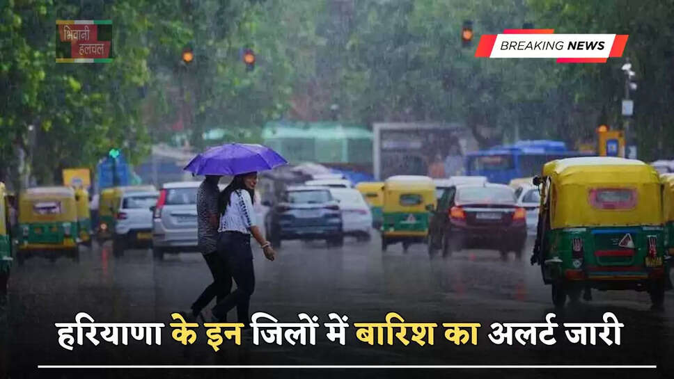 हरियाणा के इन जिलों में बारिश का अलर्ट जारी, जाने विभाग की ताजा अपडेट&nbsp;