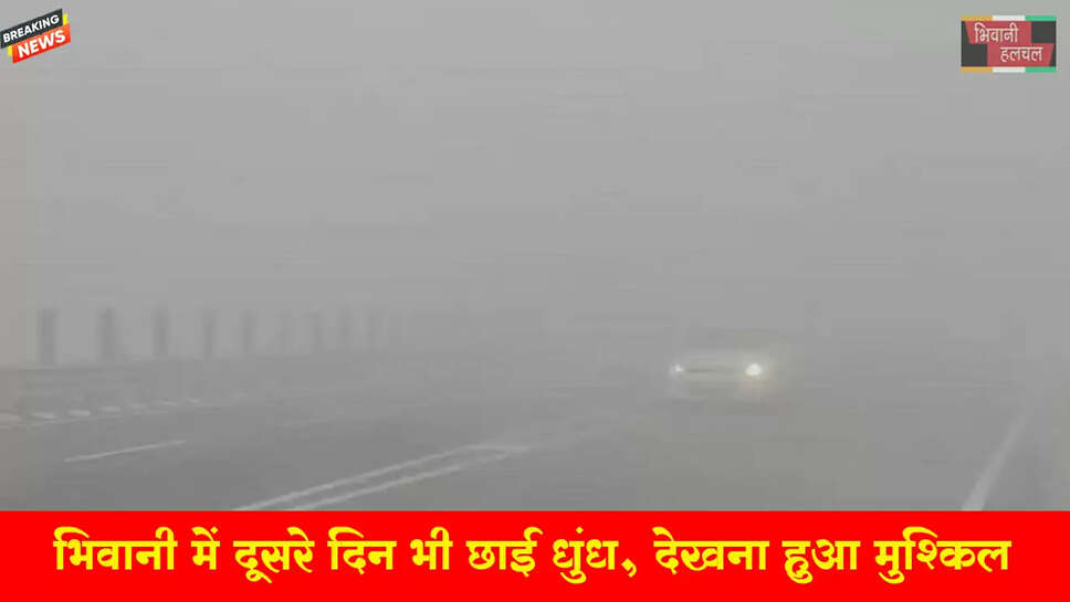 भिवानी में दूसरे दिन भी छाई रही घनी धुंध&nbsp;