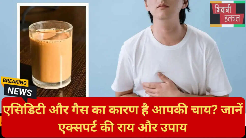 गट हेल्थ टिप्स