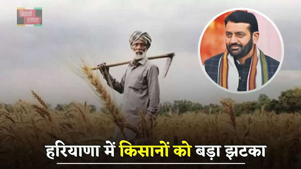 हरियाणा में किसानों को बड़ा झटका, इन फसलों का नहीं मिलेगा मुआवजा