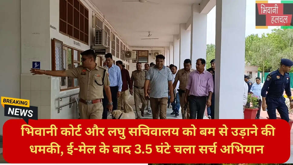 हरियाणा न्यूज हिंदी