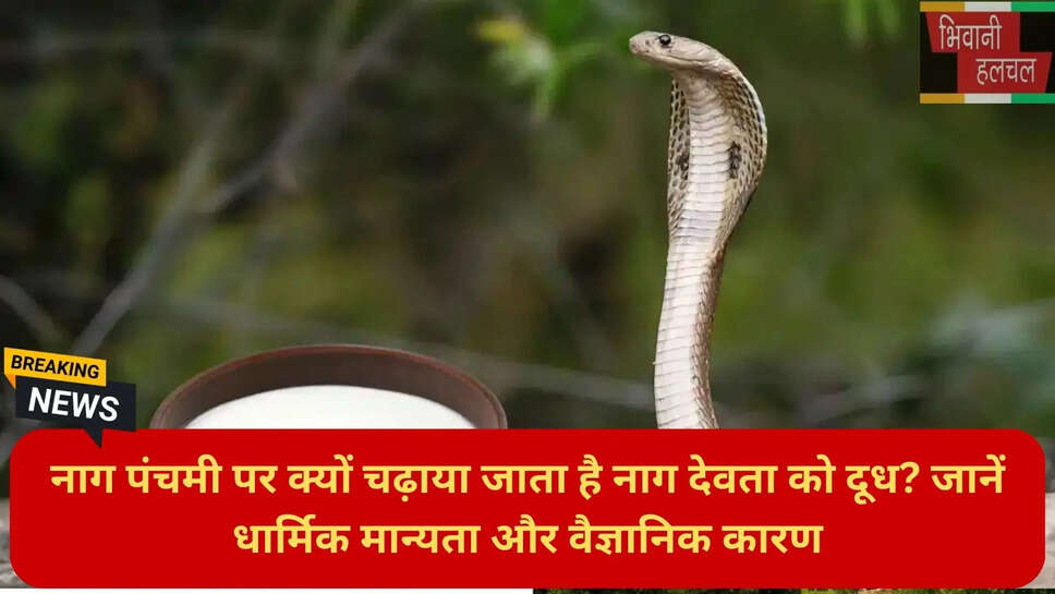धर्म अध्यात्म न्यूज हिंदी