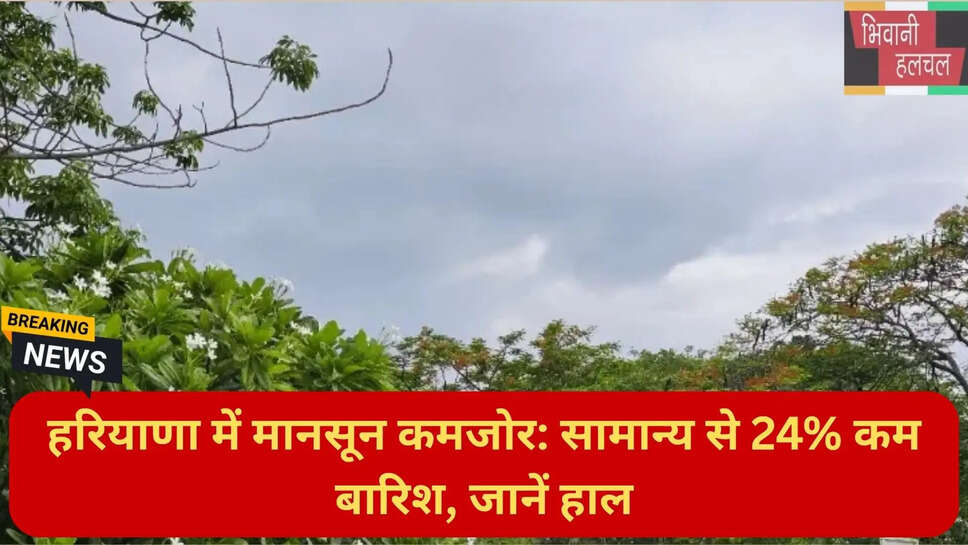Sirsa weather update
