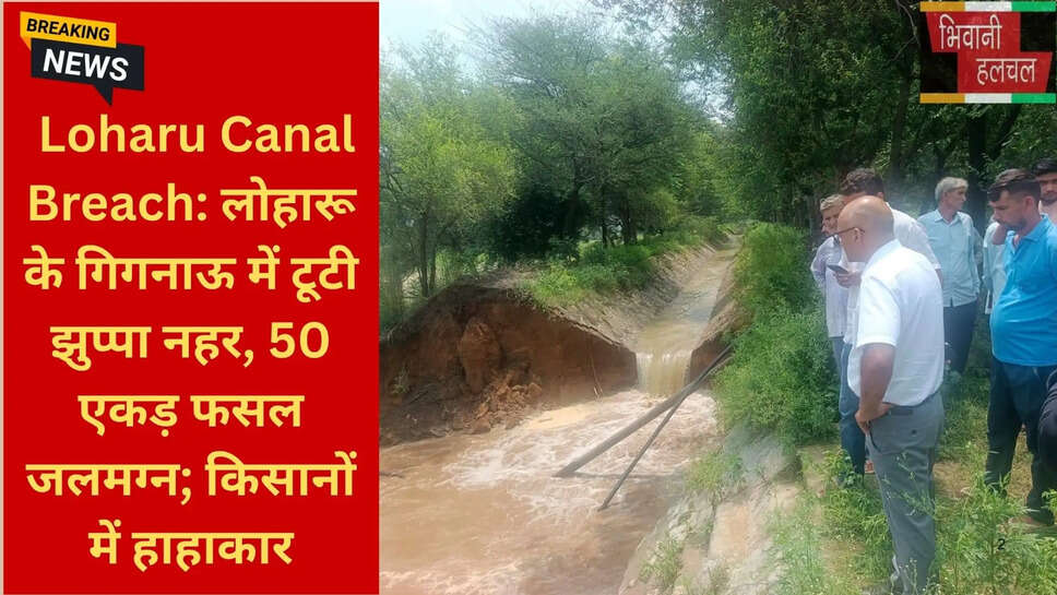 हरियाणा नहर रिसाव समाचार