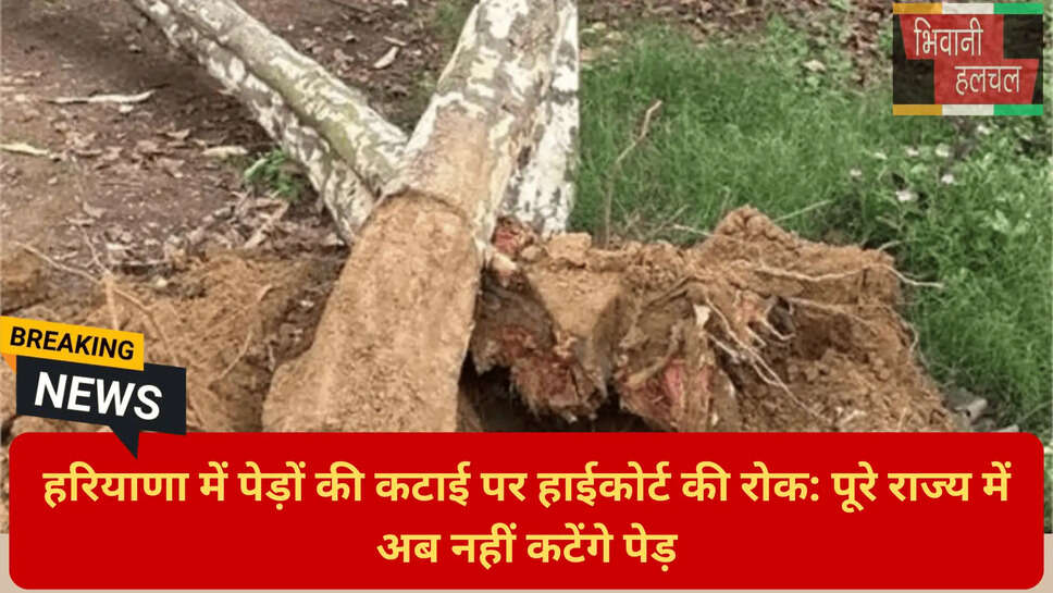 ट्राइसिटी ग्रीन लंग्स संरक्षण