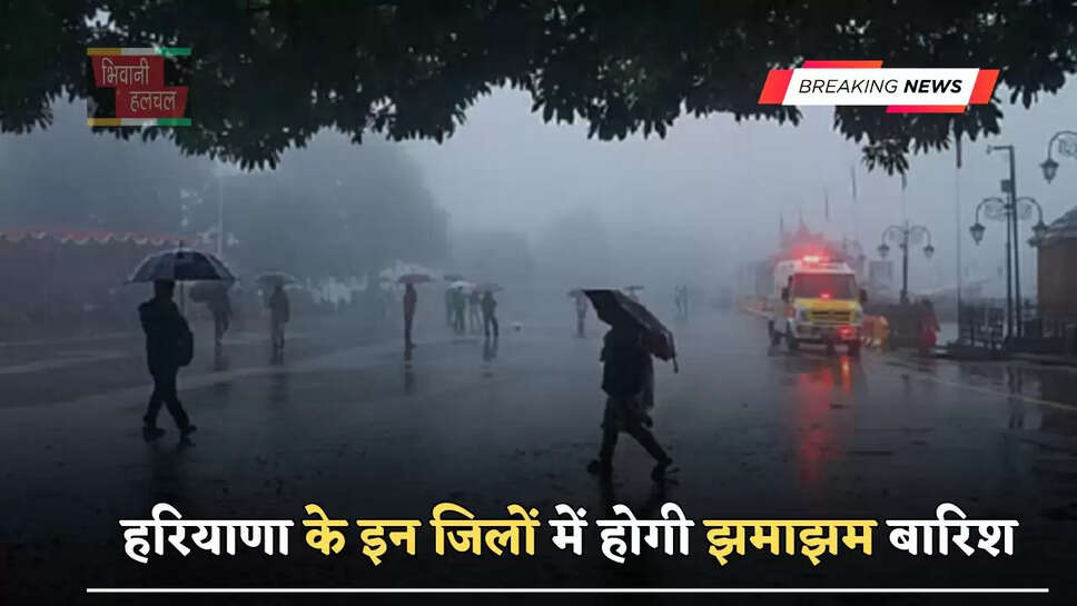 हरियाणा के इन जिलों में होगी&nbsp;झमाझम बारिश, जाने विभाग का ताजा अपडेट&nbsp;