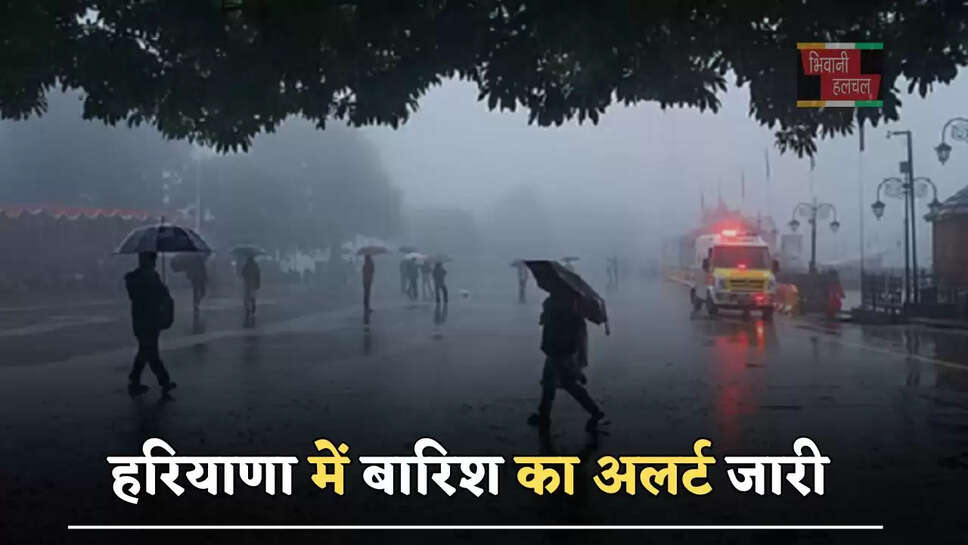 हरियाणा में बारिश का अलर्ट जारी, जाने मौसम विभाग का ताजा अपडेट?