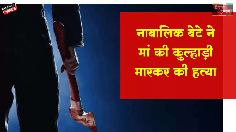 नाबालिग बेटे ने की कुल्हाड़ी मारकर मां की हत्या 