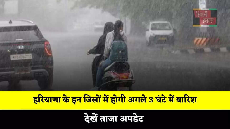 हरियाणा के इन जिलों में होगी अगले 3 घंटे में बारिश, देखें ताजा अपडेट&nbsp;