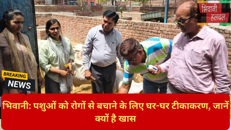 हरियाणा पशुपालन समाचार