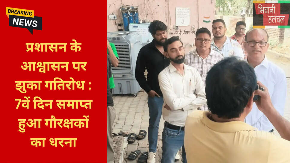 हरियाणा गौवंश चिकित्सा न्यूज़