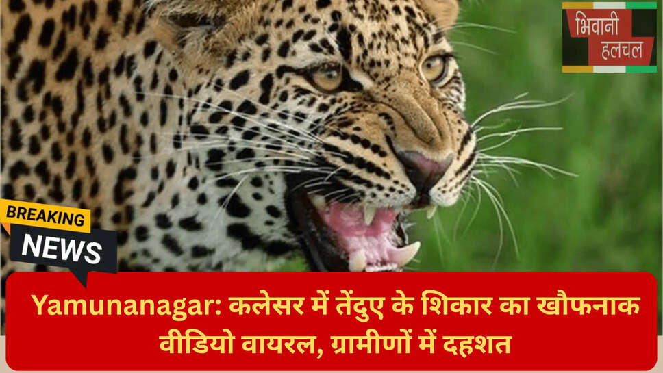 कलेसर वाइल्डलाइफ सेंचुरी