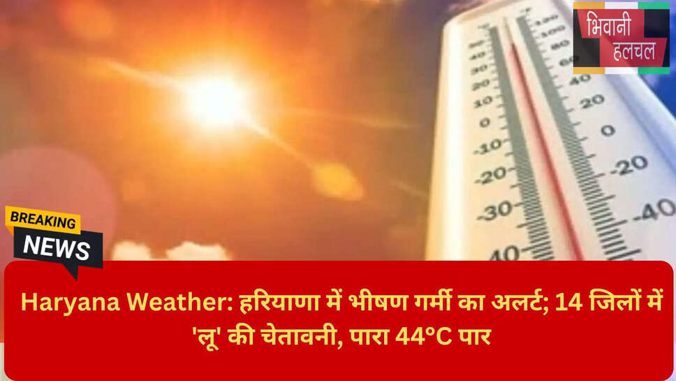 Sirsa Hottest City Haryana