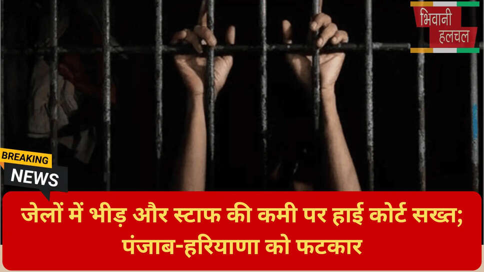 कोर्ट की फटकार न्यूज़