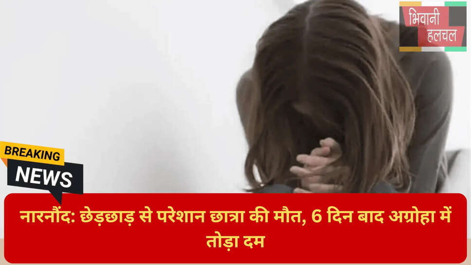 हरियाणा क्राइम न्यूज़ आज