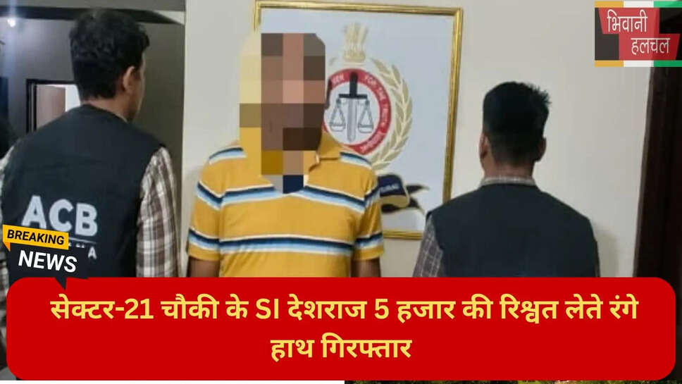 हरियाणा न्यूज हिंदी