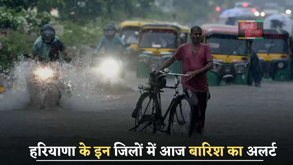 हरियाणा के इन जिलों में आज बारिश का अलर्ट, देखें अगले 3 दिन कैसा रहेगा मौसम&nbsp;