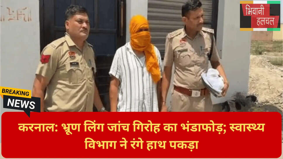 मंगल कॉलोनी पार्ट टू न्यूज़