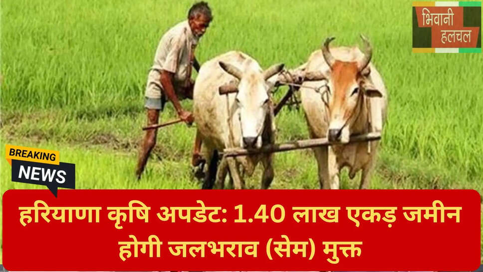 हरियाणा कृषि विजन 2047