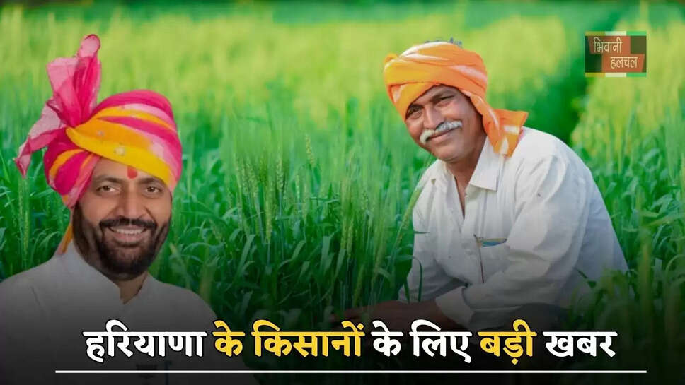 हरियाणा के किसानों के लिए बड़ी खबर, फसल बीमा की बढ़ी अंतिम तिथि&nbsp;