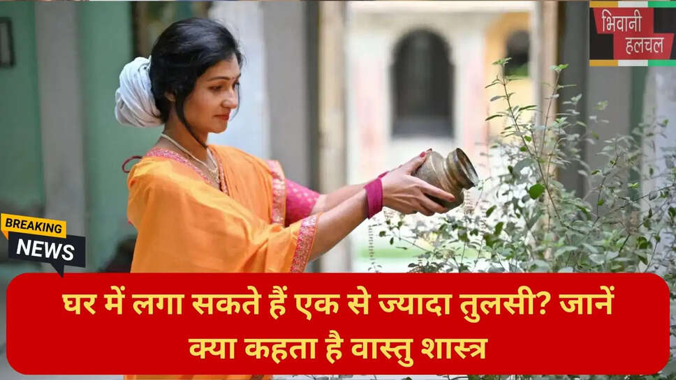 Hindu religious beliefs Tulsi