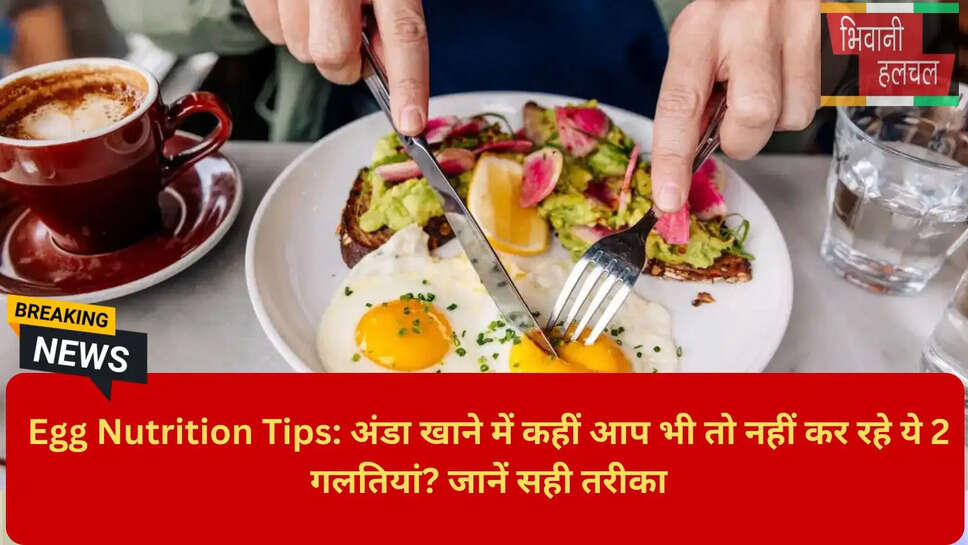 Egg Nutrition Facts in Hindi