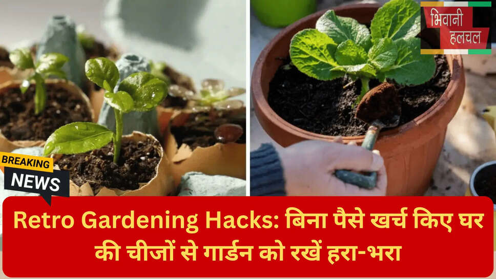 पौधों के लिए कॉफी के फायदे