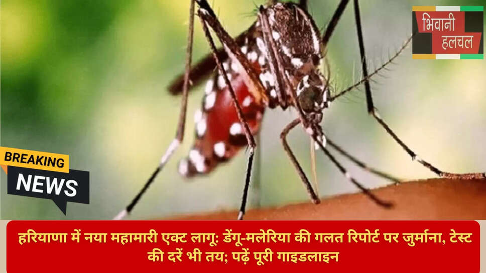 डेंगू रिपोर्टिंग नियम