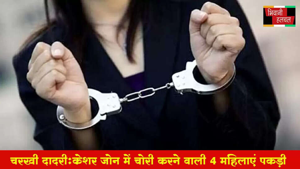 दादरी क्रेशर जोन में चोरी करने वाली 4 महिलाएं पकड़ी&nbsp;