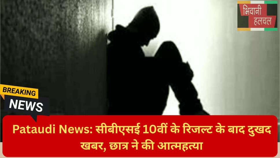 एमडी स्कूल पटौदी