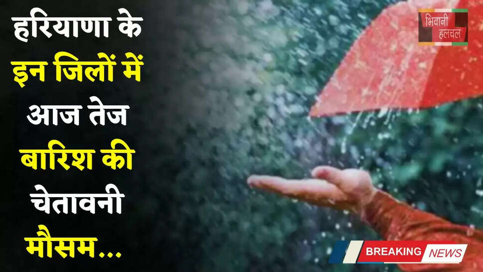 Haryana Weather: हरियाणा के इन जिलों में आज तेज बारिश की चेतावनी, देखें अगले 3 दिन कैसा रहेगा मौसम&nbsp;