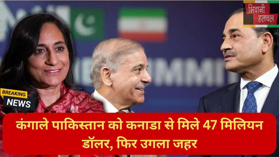 Shehbaz Sharif government economic crisis