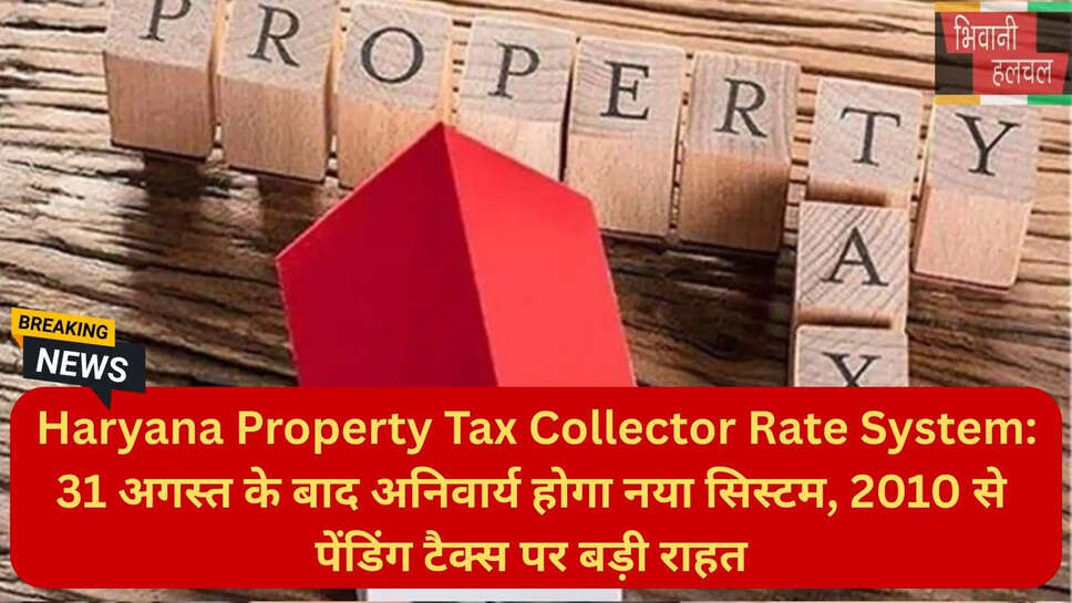 हरियाणा अर्बन लोकल बॉडीज न्यूज