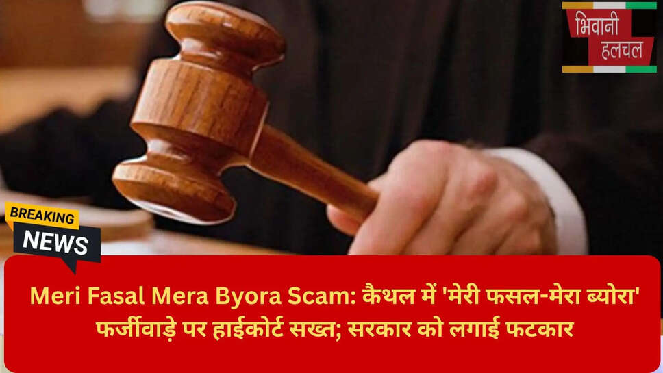 CM Window Complaint Registration Fraud Haryana