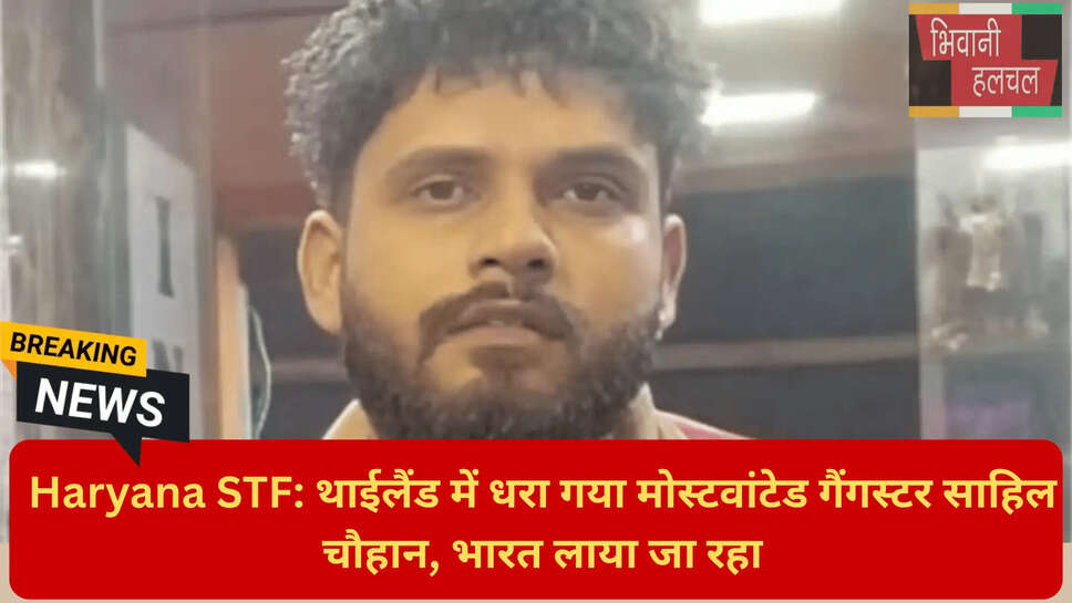 गुरुग्राम एसटीएफ रेड