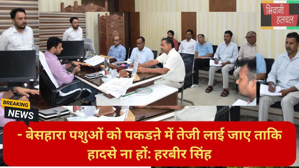 हरियाणा न्यूज