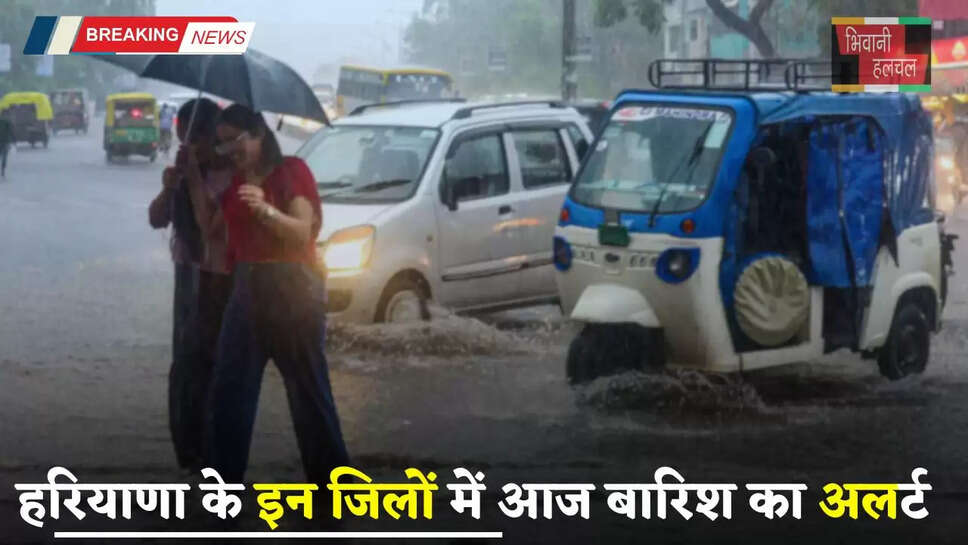 Haryana Weather: हरियाणा के इन 13 जिलों में आज बारिश का अलर्ट, देखें अगले 2 दिन का मौसम&nbsp;